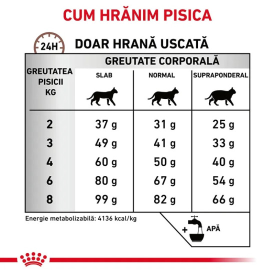 Royal Canin Hepatic Cat – Hrană Uscată Dietetică pentru Pisici cu Afecțiuni Hepatice, 4 kg